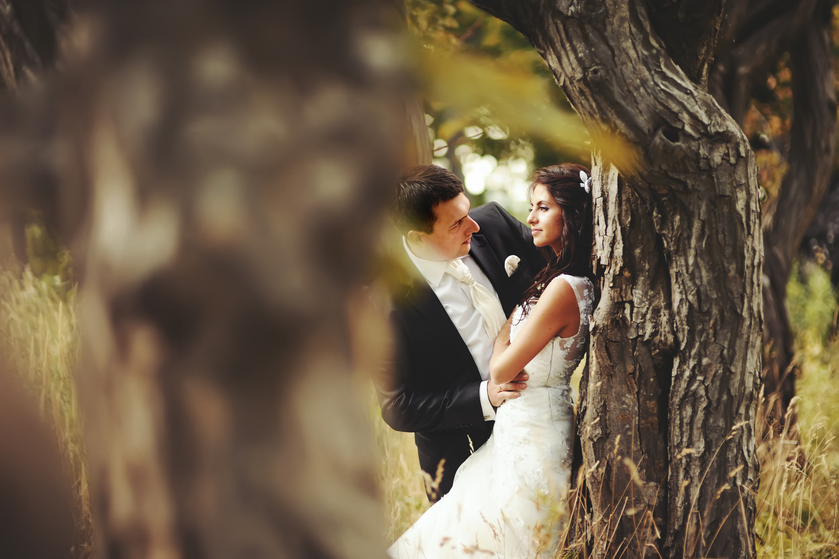 wedding couple in magic forest